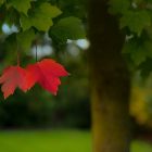 newsletter CGT Septembre